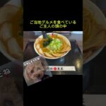 ひなちゃんを大好きすぎるご主人【シニア犬の北海道旅】