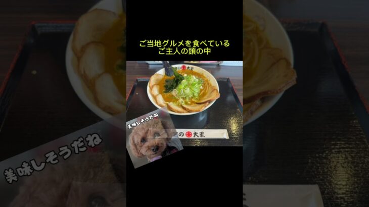 ひなちゃんを大好きすぎるご主人【シニア犬の北海道旅】