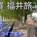 シニア夫婦の車旅　歴史、食、自然を満喫し奥琵琶湖へ
