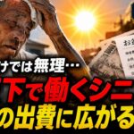 「年金だけでは無理」炎天下で働くシニア…お盆の出費に広がる不安#年金生活#老後問題