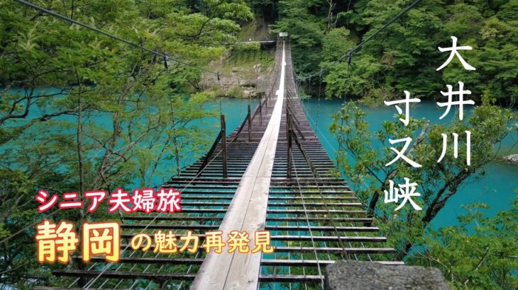 シニア夫婦の静岡旅／海だけじゃもったいない！山も魅力いっぱいです！