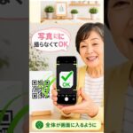 スマホの文字を大きくする方法