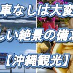 🌺「沖縄旅行、車なしは大変だった…」美しい絶景を巡って分かった本音【沖縄観光】