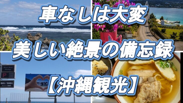 🌺「沖縄旅行、車なしは大変だった…」美しい絶景を巡って分かった本音【沖縄観光】