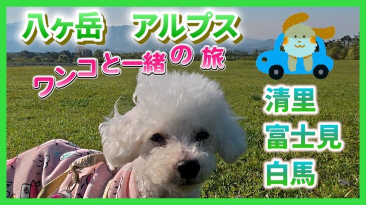 【６０代シニア旅】　八ヶ岳 アルプス 富士山　日本三高峰を見に行こう！！