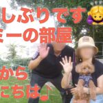 【アラ還vlog】シニア犬といく広島家族旅行/お気に入りコスメと愛用バッグ/温泉宿別邸藤屋と宮島観光/厳島神社