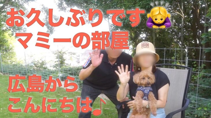 【アラ還vlog】シニア犬といく広島家族旅行/お気に入りコスメと愛用バッグ/温泉宿別邸藤屋と宮島観光/厳島神社