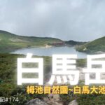 【シニア登山】白馬岳vol.1　栂池自然園から白馬大池