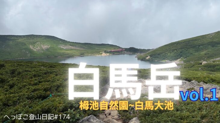 【シニア登山】白馬岳vol.1　栂池自然園から白馬大池