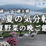 【yuuの家事ライフ】シニア年金生活、８０歳７７歳夫婦、暑い夏の気分転換、夏野菜の晩ご飯