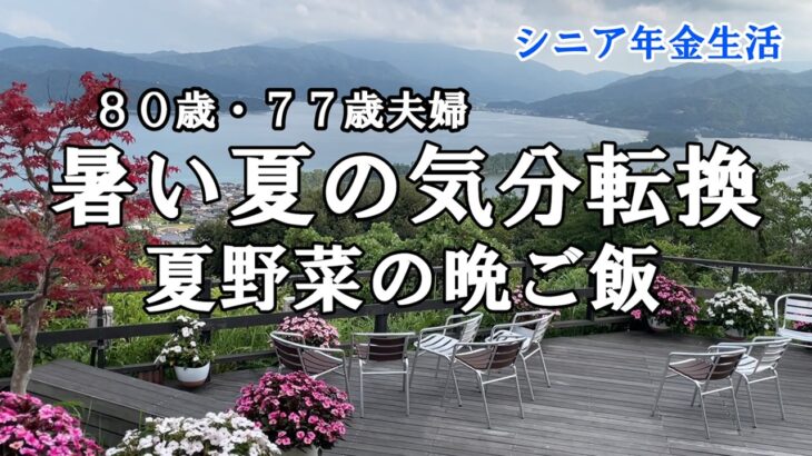 【yuuの家事ライフ】シニア年金生活、８０歳７７歳夫婦、暑い夏の気分転換、夏野菜の晩ご飯