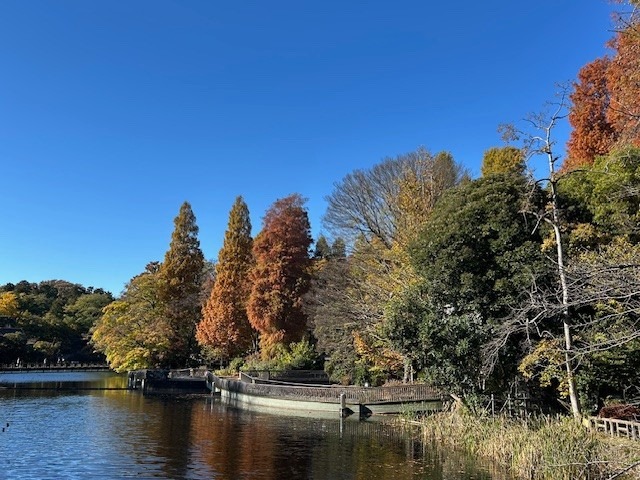 Inogashira Park